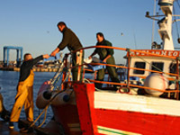 La pêche durable au Guilvinec